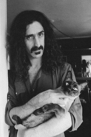 Frank+Zappa+Zappa+and+cat