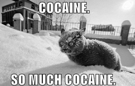 cat-cocaine1111_thumb